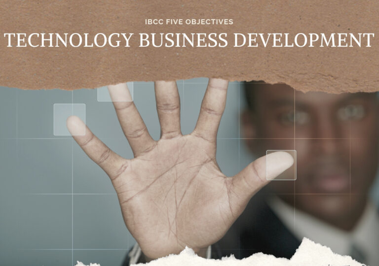 TECHNOLOGY BUSINESS DEVELOPMENT